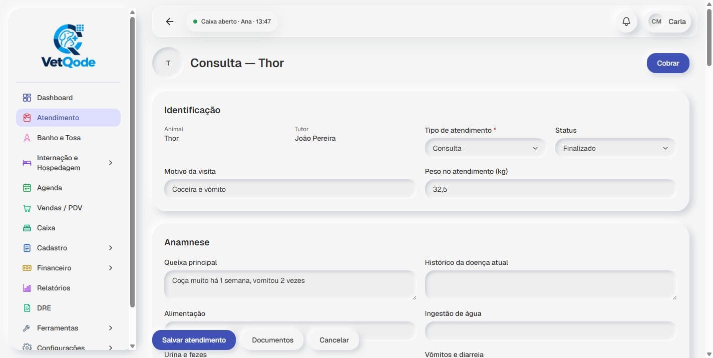 Tela real do VetQode: prontuário de uma consulta